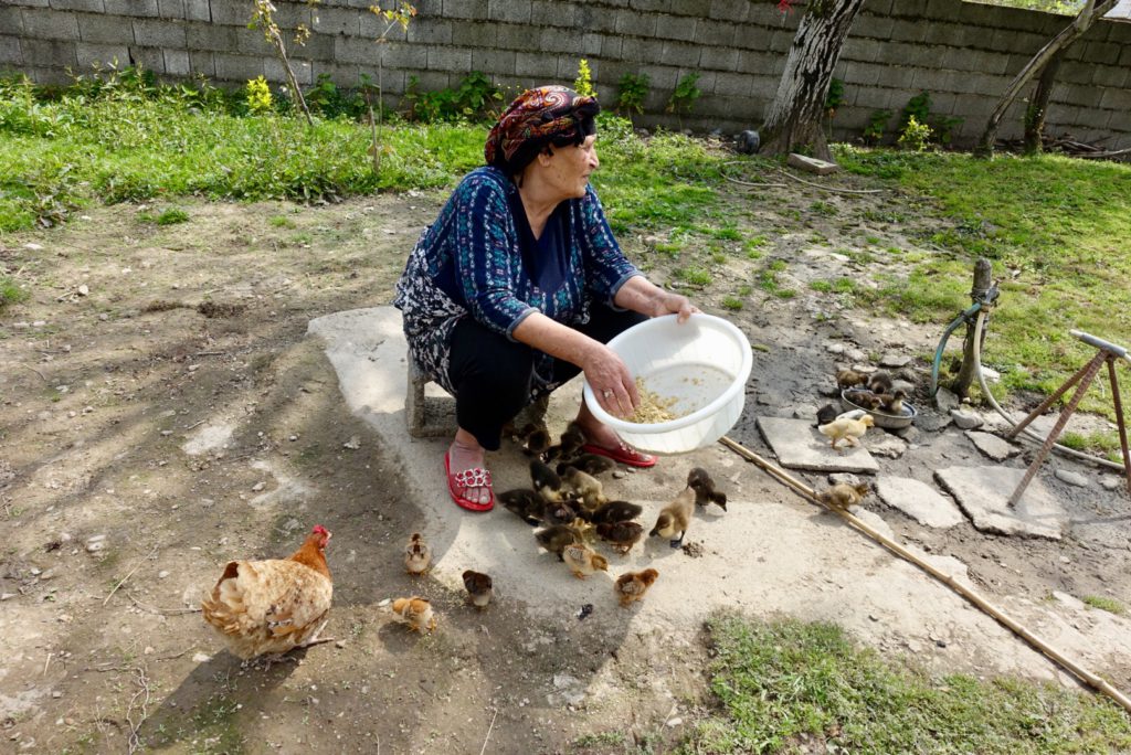 Shah Khanom mkt den Küken