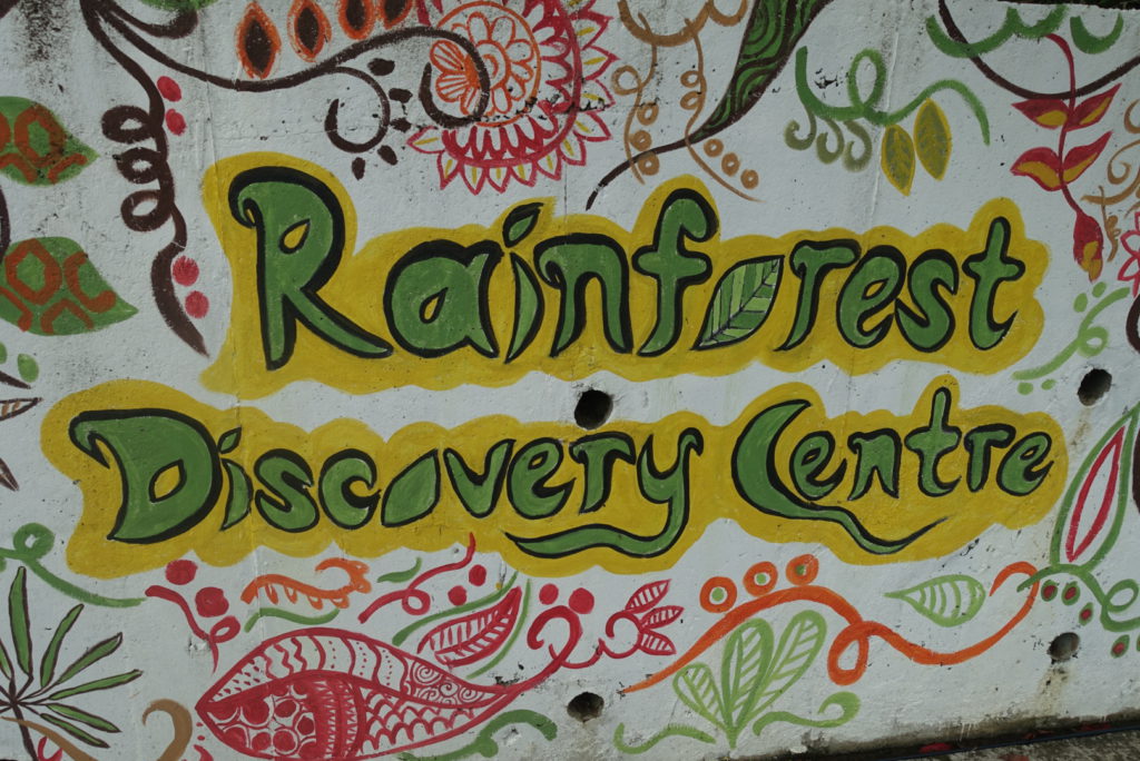 Rainforest Discovery Center