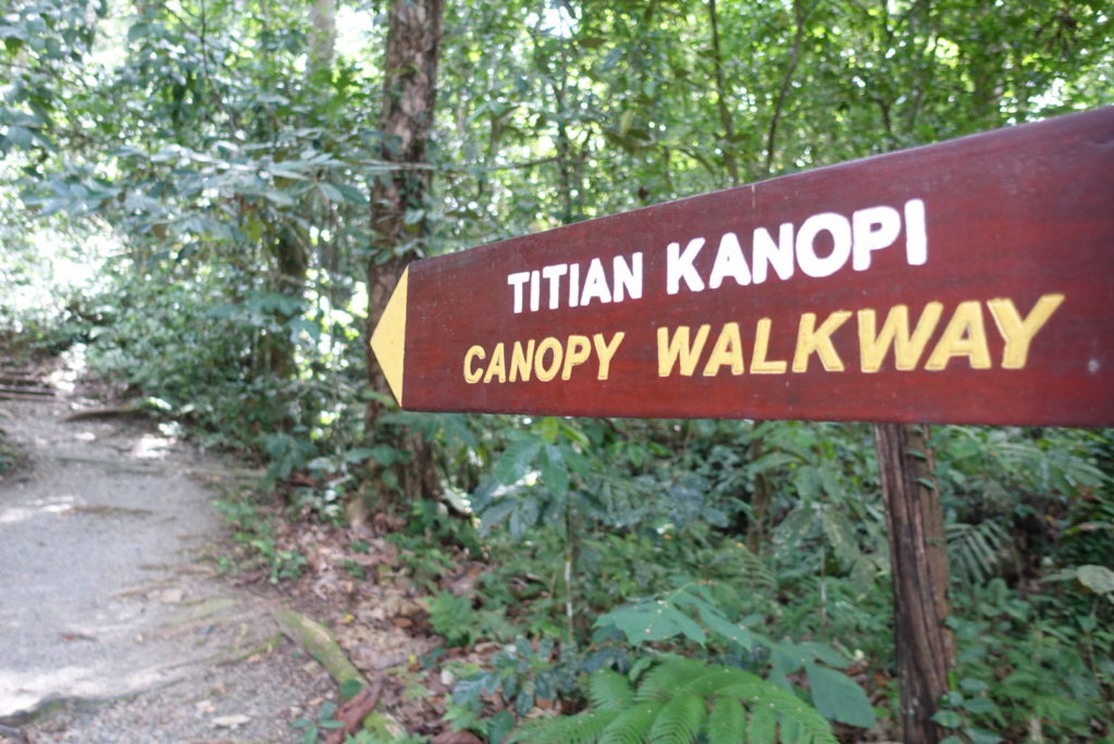 Canopy Walkway