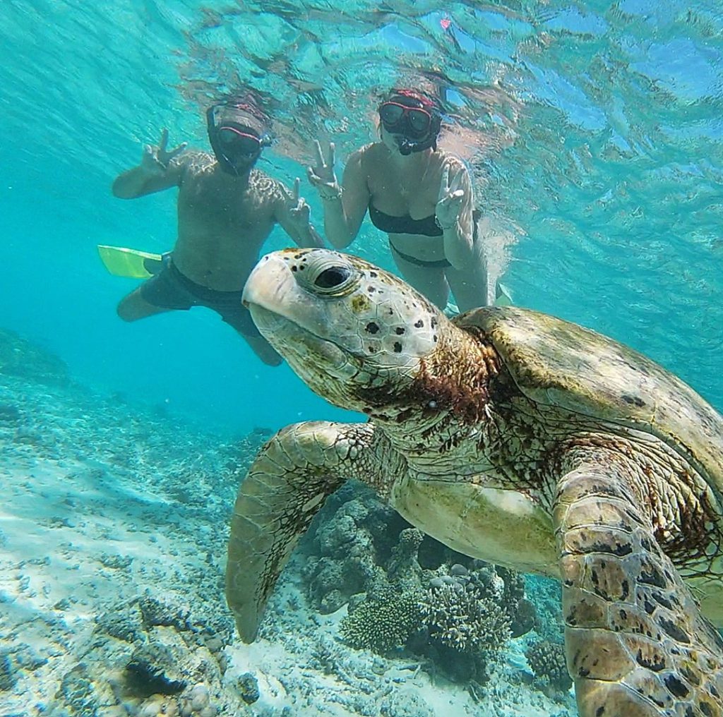 Selfie mit Schildkröte