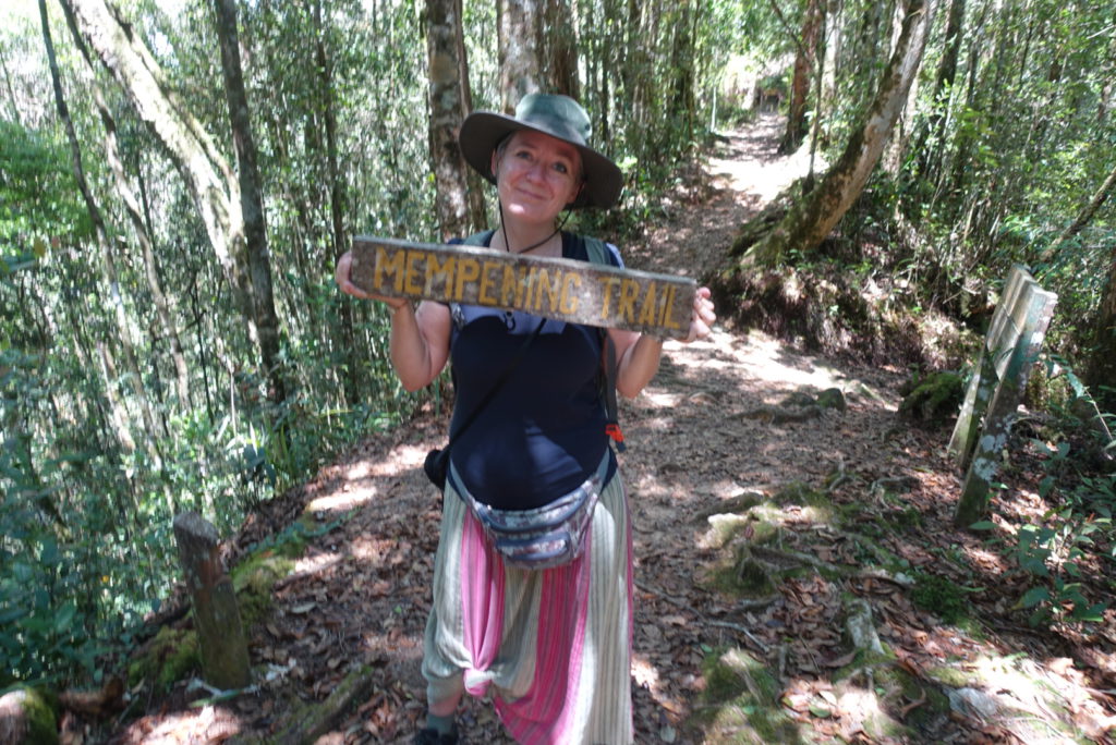 Einer von vielen Trails im Kinabalu Park