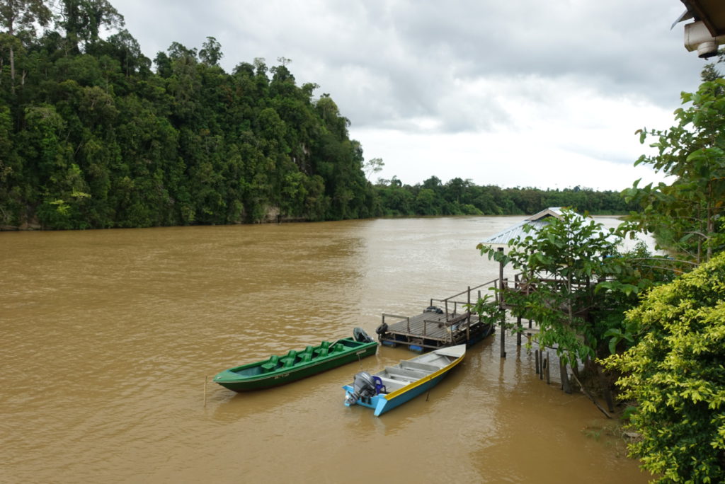 Kinabatangan River