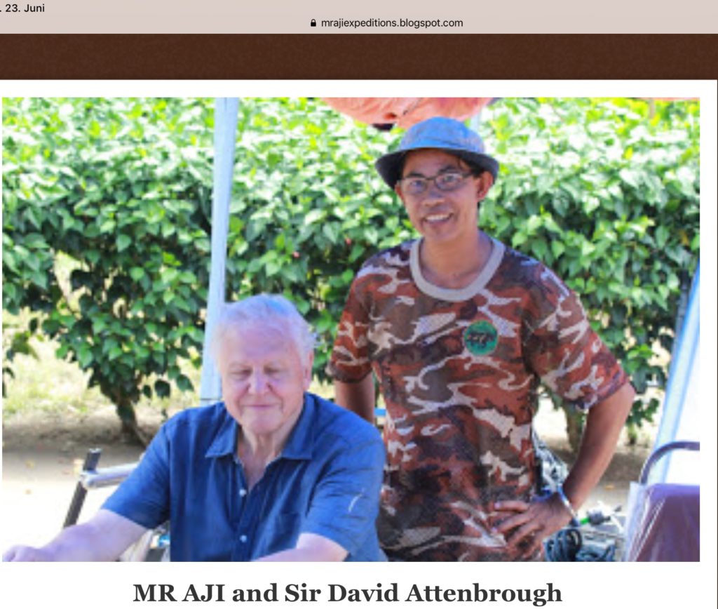 Aji und Attenborough