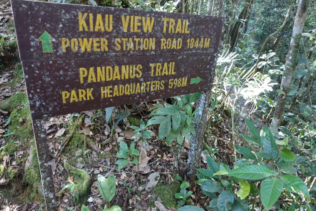 Kiau View Trail