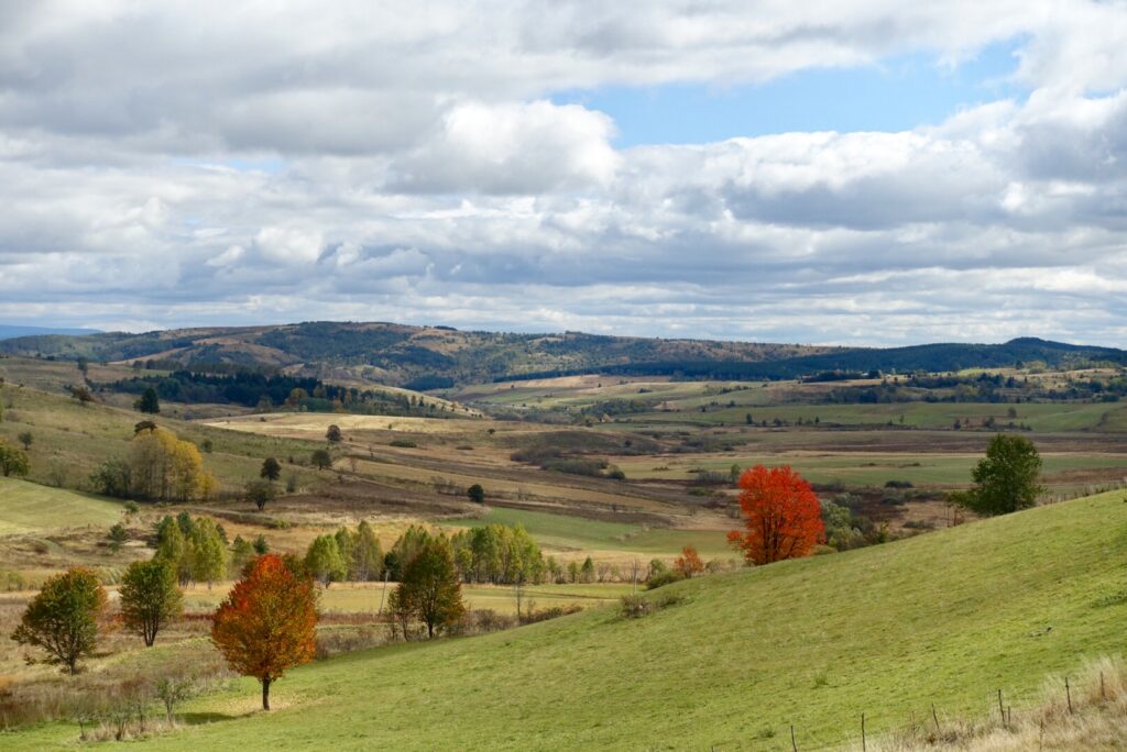 Herbstlandschaft