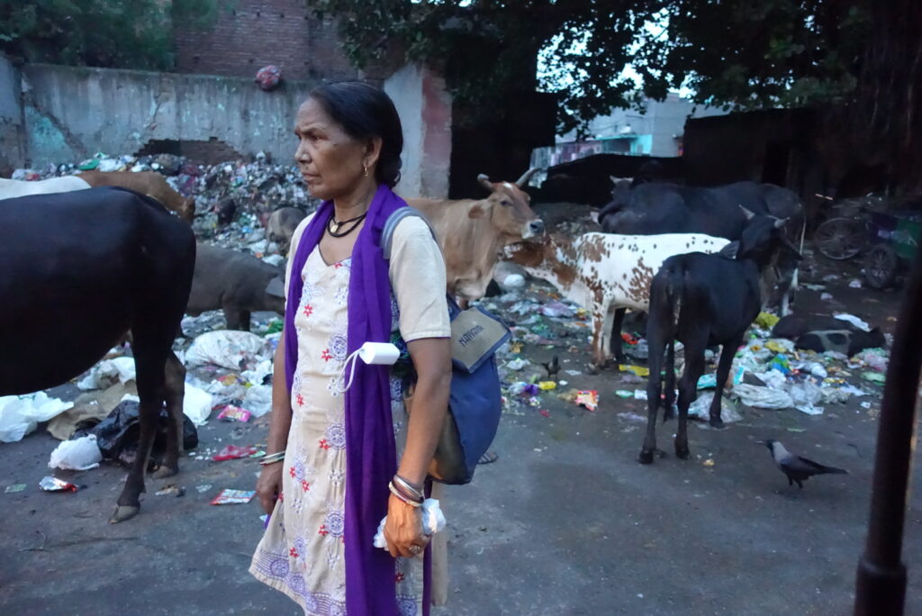 Müllprolbeme in Indien